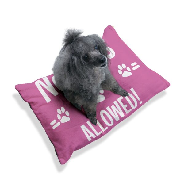 No Cats Allowed Pet Bed - Image 5