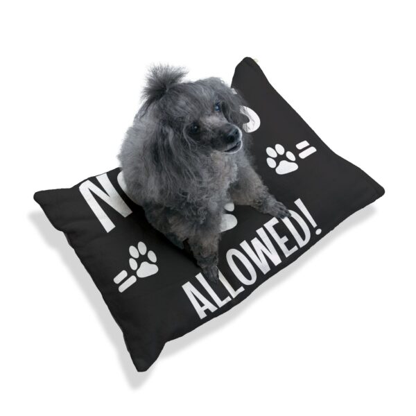 No Cats Allowed Pet Bed - Image 8